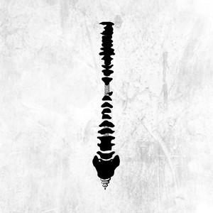 又黄又骚的视频国产
