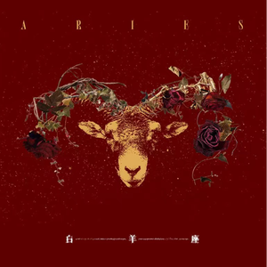 又黄又骚的视频国产
